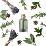 Notes Aromatiques