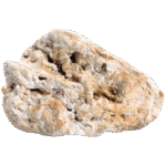 Ambre gris