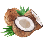 noix de coco