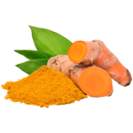 curcuma