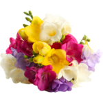 notes florales
