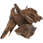 oud
